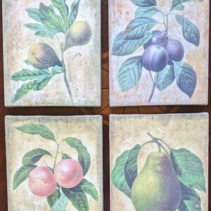 Fruit Art Set of 4-Pear, Peach, fig, plum 8"x10" each Vintage Wrapped Canvas